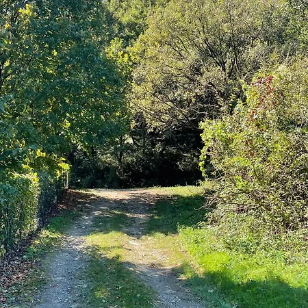 Nel Parco Naturale *