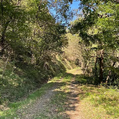 Nel Parco Naturale Tatil Evi